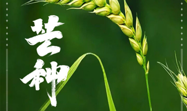 麻将胡了2(中国游)官方网站 - IOS/安卓通用版/手机APP下载